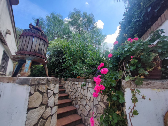 Villa o villino in Vendita