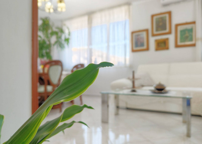 Appartamento in Vendita