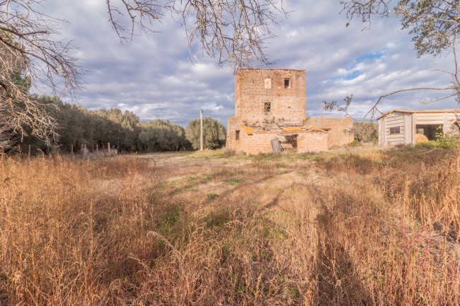 Cascina/Casale in Vendita