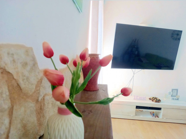 Casa Indipendente in Vendita