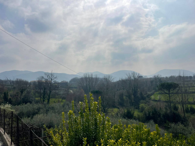 Casa Indipendente in Vendita