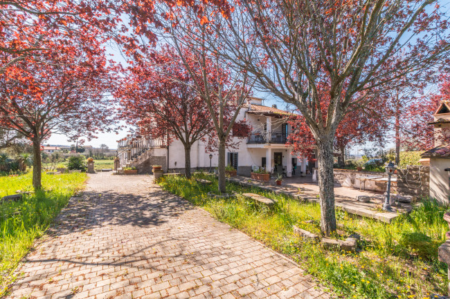 Cascina/Casale in Vendita