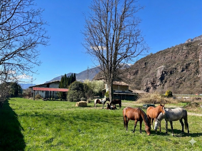Detached House in sale