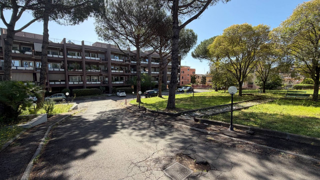 Appartamento in Affitto