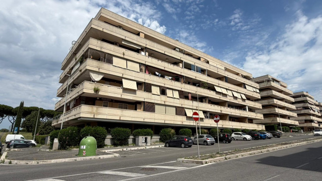 Appartamento in Affitto