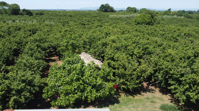 Terreno in Vendita
