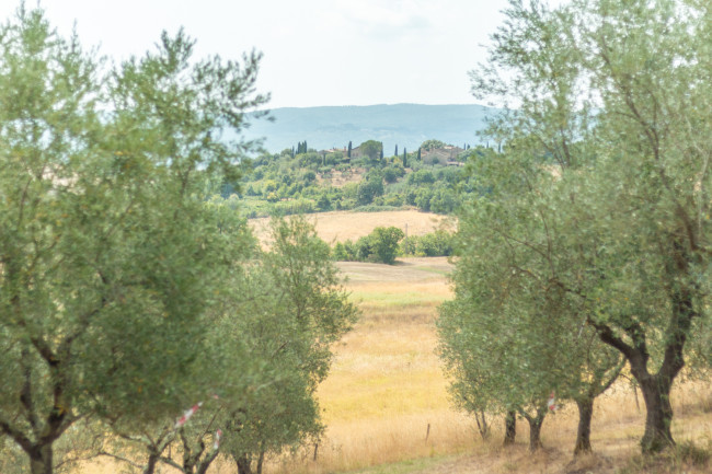 Terreno in Vendita