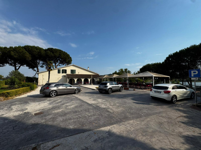 Attività  Commerciale in Vendita