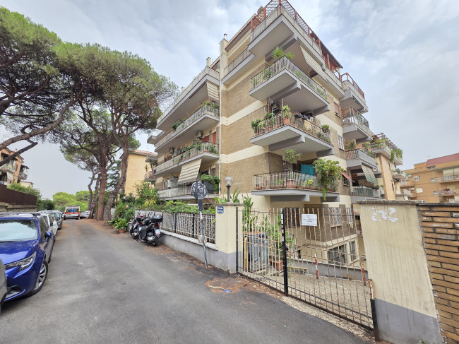 Appartamento in Affitto