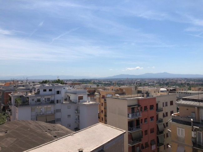 Appartamento in Affitto